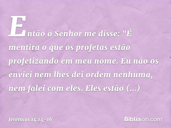 Então o Senhor me disse: "É mentira o que os profetas estão profetizando em meu nome. Eu não os enviei nem lhes dei ordem nenhuma, nem falei com eles. Eles estã