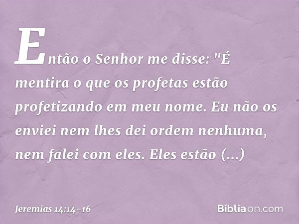 Então o Senhor me disse: "É mentira o que os profetas estão profetizando em meu nome. Eu não os enviei nem lhes dei ordem nenhuma, nem falei com eles. Eles estã