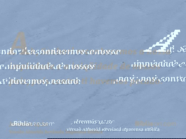 Ah, Senhor! reconhecemos a nossa impiedade e a iniqüidade de nossos pais; pois contra ti havemos pecado.