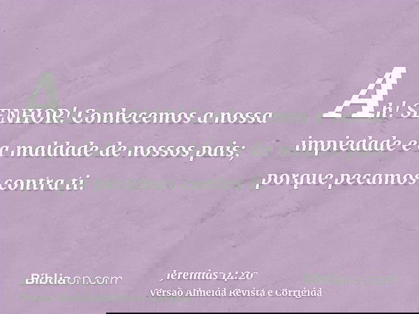 Ah! SENHOR! Conhecemos a nossa impiedade e a maldade de nossos pais; porque pecamos contra ti.
