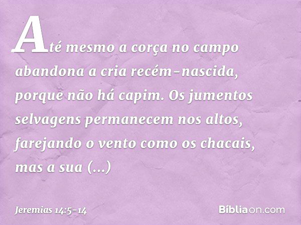 Até mesmo a corça no campo
abandona a cria recém-nascida,
porque não há capim. Os jumentos selvagens
permanecem nos altos,
farejando o vento como os chacais,
ma