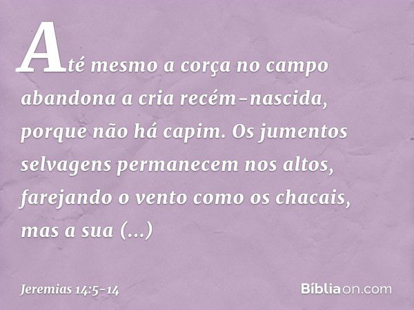 Até mesmo a corça no campo
abandona a cria recém-nascida,
porque não há capim. Os jumentos selvagens
permanecem nos altos,
farejando o vento como os chacais,
ma