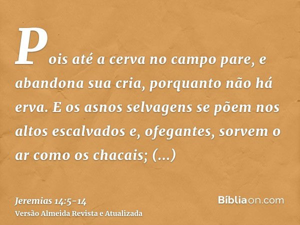 Pois até a cerva no campo pare, e abandona sua cria, porquanto não há erva.E os asnos selvagens se põem nos altos escalvados e, ofegantes, sorvem o ar como os c