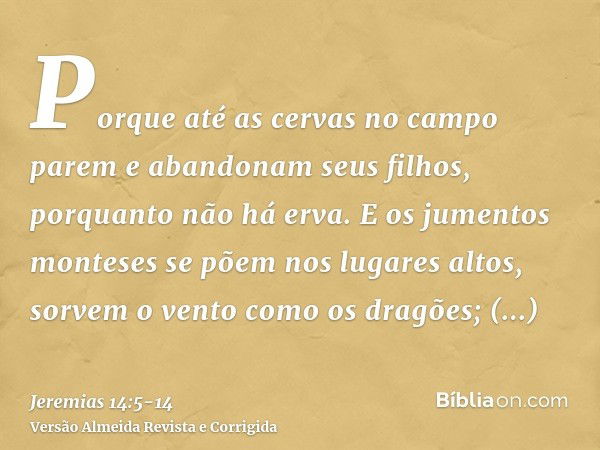 Porque até as cervas no campo parem e abandonam seus filhos, porquanto não há erva.E os jumentos monteses se põem nos lugares altos, sorvem o vento como os drag