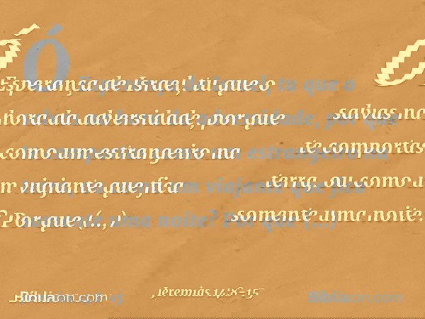 Ó Esperança de Israel,
tu que o salvas na hora da adversidade,
por que te comportas
como um estrangeiro na terra,
ou como um viajante
que fica somente uma noite
