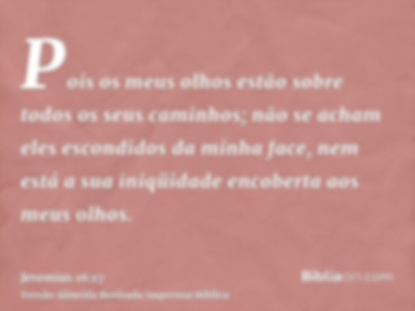 Pois os meus olhos estão sobre todos os seus caminhos; não se acham eles escondidos da minha face, nem está a sua iniqüidade encoberta aos meus olhos.