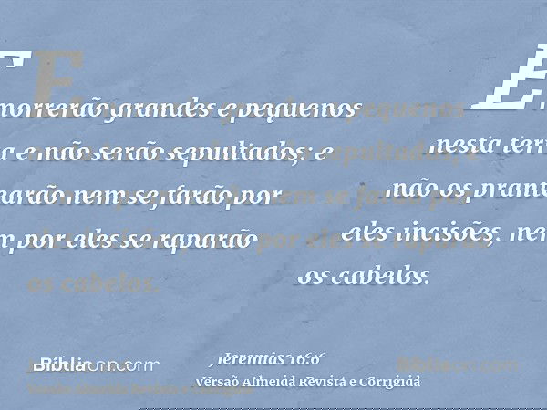 E morrerão grandes e pequenos nesta terra e não serão sepultados; e não os prantearão nem se farão por eles incisões, nem por eles se raparão os cabelos.
