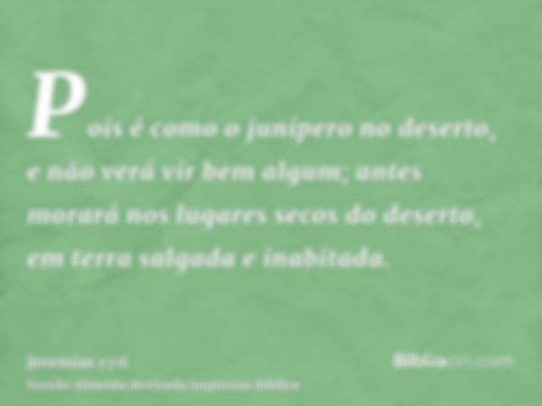 Pois é como o junípero no deserto, e não verá vir bem algum; antes morará nos lugares secos do deserto, em terra salgada e inabitada.