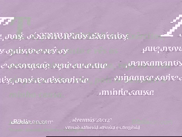 Tu, pois, ó SENHOR dos Exércitos, que provas o justo e vês os pensamentos e o coração, veja eu a tua vingança sobre eles, pois te descobri a minha causa.