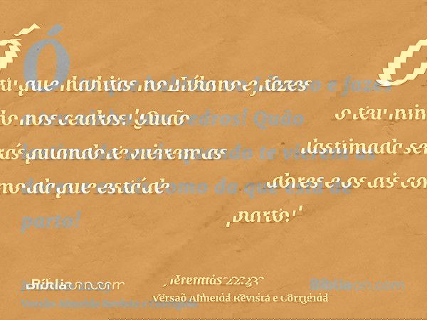 Ó tu que habitas no Líbano e fazes o teu ninho nos cedros! Quão lastimada serás quando te vierem as dores e os ais como da que está de parto!