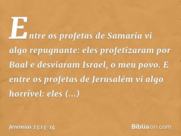 "Entre os profetas de Samaria
vi algo repugnante:
eles profetizaram por Baal
e desviaram Israel, o meu povo. E entre os profetas de Jerusalém
vi algo horrível:
