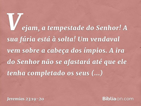 Vejam, a tempestade do Senhor!
A sua fúria está à solta!
Um vendaval vem sobre
a cabeça dos ímpios. A ira do Senhor não se afastará
até que ele tenha completado