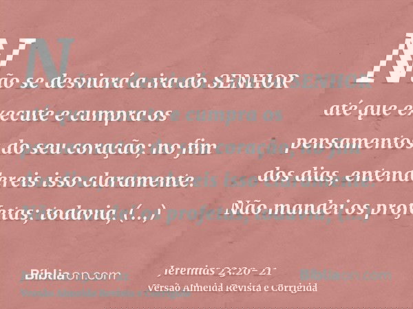 Não se desviará a ira do SENHOR até que execute e cumpra os pensamentos do seu coração; no fim dos dias, entendereis isso claramente.Não mandei os profetas; tod