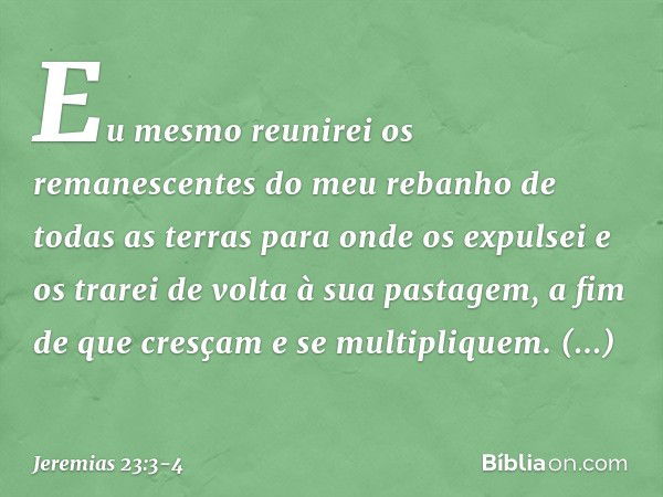 "Eu mesmo reunirei os remanescentes do meu rebanho de todas as terras para onde os expulsei e os trarei de volta à sua pastagem, a fim de que cresçam e se multi