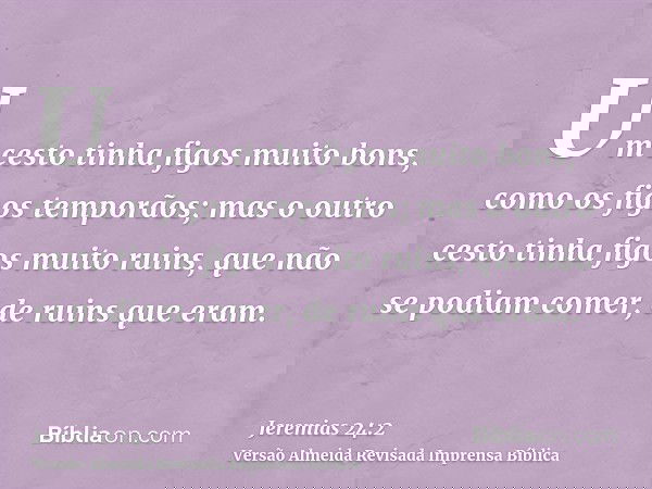 Um cesto tinha figos muito bons, como os figos temporãos; mas o outro cesto tinha figos muito ruins, que não se podiam comer, de ruins que eram.