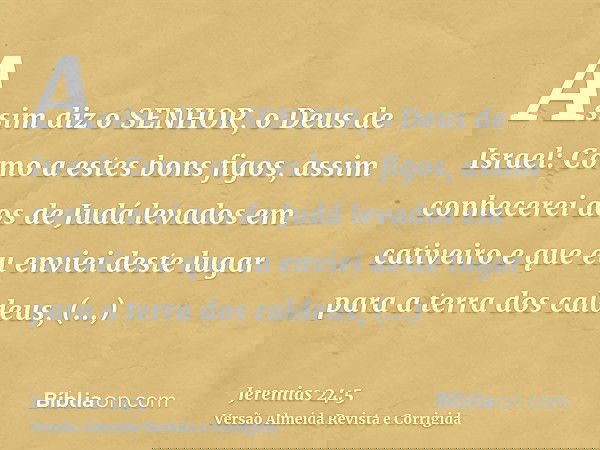 Assim diz o SENHOR, o Deus de Israel: Como a estes bons figos, assim conhecerei aos de Judá levados em cativeiro e que eu enviei deste lugar para a terra dos ca