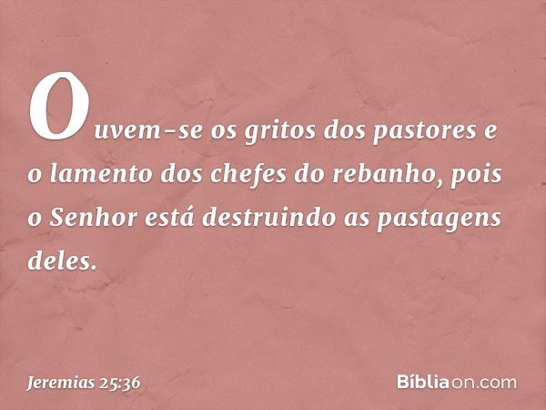 Ouvem-se os gritos dos pastores
e o lamento dos chefes do rebanho,
pois o Senhor está destruindo
as pastagens deles. -- Jeremias 25:36