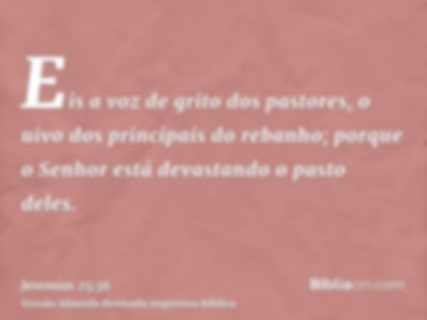 Eis a voz de grito dos pastores, o uivo dos principais do rebanho; porque o Senhor está devastando o pasto deles.