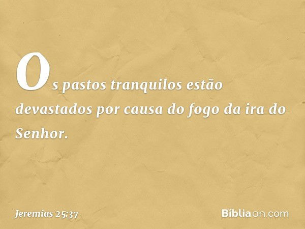 Os pastos tranquilos estão devastados
por causa do fogo da ira do Senhor. -- Jeremias 25:37