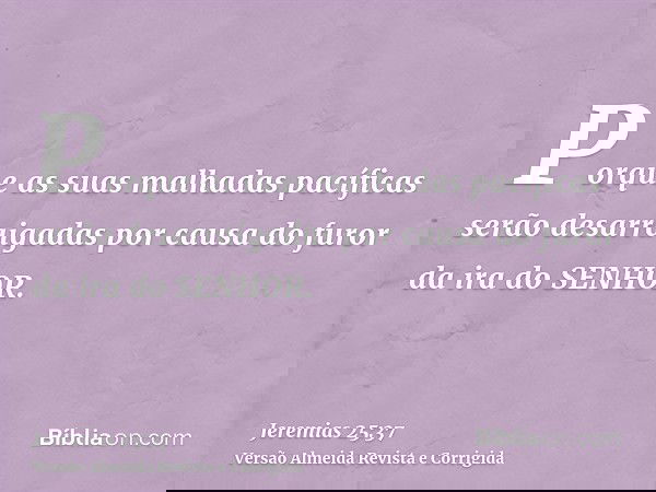 Porque as suas malhadas pacíficas serão desarraigadas por causa do furor da ira do SENHOR.