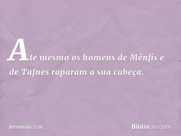 Até mesmo os homens
de Mênfis e de Tafnes
raparam a sua cabeça. -- Jeremias 2:16