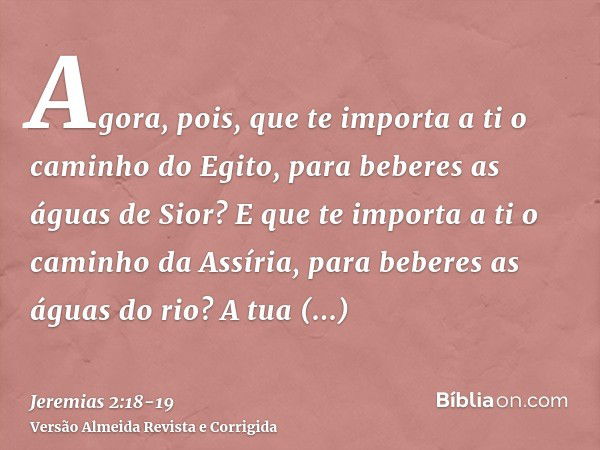 Agora, pois, que te importa a ti o caminho do Egito, para beberes as águas de Sior? E que te importa a ti o caminho da Assíria, para beberes as águas do rio?A t