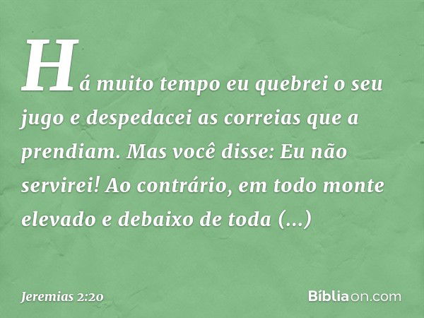 "Há muito tempo
eu quebrei o seu jugo
e despedacei as correias que a prendiam.
Mas você disse: 'Eu não servirei!'
Ao contrário, em todo monte elevado
e debaixo 