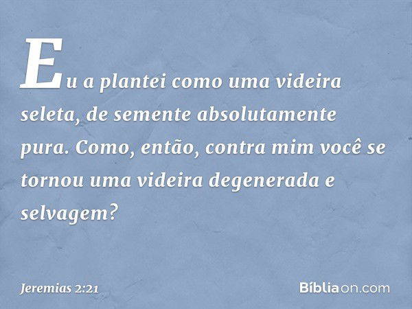 Eu a plantei como uma videira seleta,
de semente absolutamente pura.
Como, então, contra mim
você se tornou uma videira
degenerada e selvagem? -- Jeremias 2:21