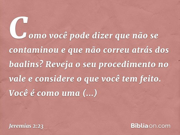 "Como você pode dizer
que não se contaminou
e que não correu atrás dos baalins?
Reveja o seu procedimento no vale
e considere o que você tem feito.
Você é como 