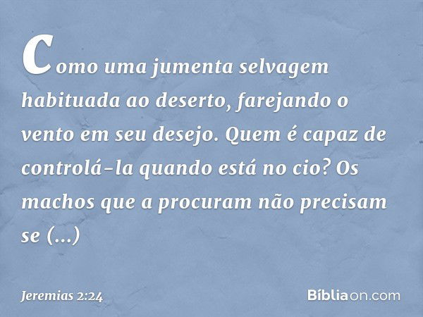 como uma jumenta selvagem
habituada ao deserto,
farejando o vento em seu desejo.
Quem é capaz de controlá-la
quando está no cio?
Os machos que a procuram
não pr