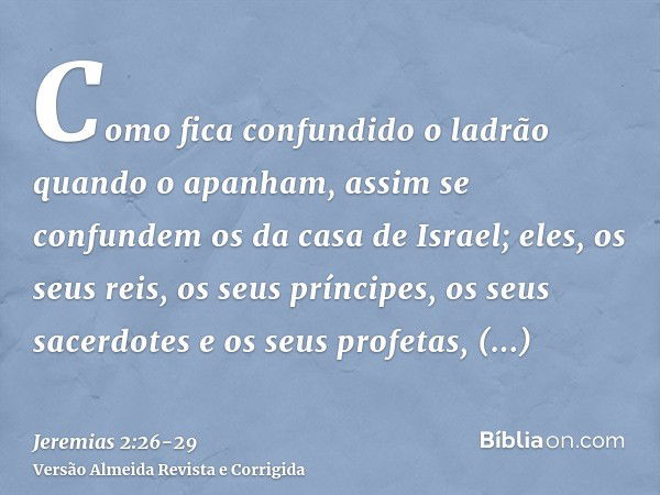 Como fica confundido o ladrão quando o apanham, assim se confundem os da casa de Israel; eles, os seus reis, os seus príncipes, os seus sacerdotes e os seus pro