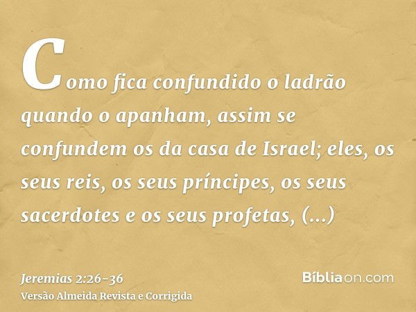 Como fica confundido o ladrão quando o apanham, assim se confundem os da casa de Israel; eles, os seus reis, os seus príncipes, os seus sacerdotes e os seus pro