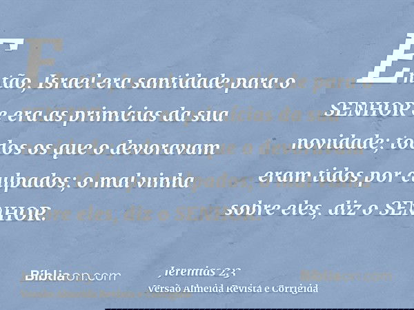 Então, Israel era santidade para o SENHOR e era as primícias da sua novidade; todos os que o devoravam eram tidos por culpados; o mal vinha sobre eles, diz o SE