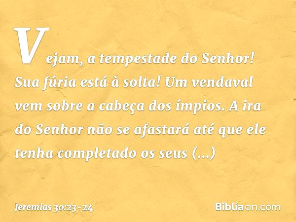 Vejam, a tempestade do Senhor!
Sua fúria está à solta!
Um vendaval vem
sobre a cabeça dos ímpios. A ira do Senhor não se afastará
até que ele tenha completado
o