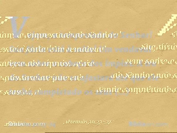 Vejam, a tempestade do Senhor!
Sua fúria está à solta!
Um vendaval vem
sobre a cabeça dos ímpios. A ira do Senhor não se afastará
até que ele tenha completado
o
