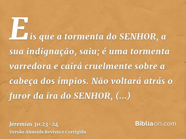 Eis que a tormenta do SENHOR, a sua indignação, saiu; é uma tormenta varredora e cairá cruelmente sobre a cabeça dos ímpios.Não voltará atrás o furor da ira do 