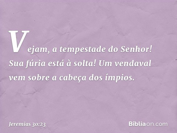 Vejam, a tempestade do Senhor!
Sua fúria está à solta!
Um vendaval vem
sobre a cabeça dos ímpios. -- Jeremias 30:23