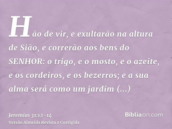 Hão de vir, e exultarão na altura de Sião, e correrão aos bens do SENHOR: o trigo, e o mosto, e o azeite, e os cordeiros, e os bezerros; e a sua alma será como 