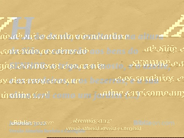 Hão de vir, e exultarão na altura de Sião, e correrão aos bens do SENHOR: o trigo, e o mosto, e o azeite, e os cordeiros, e os bezerros; e a sua alma será como