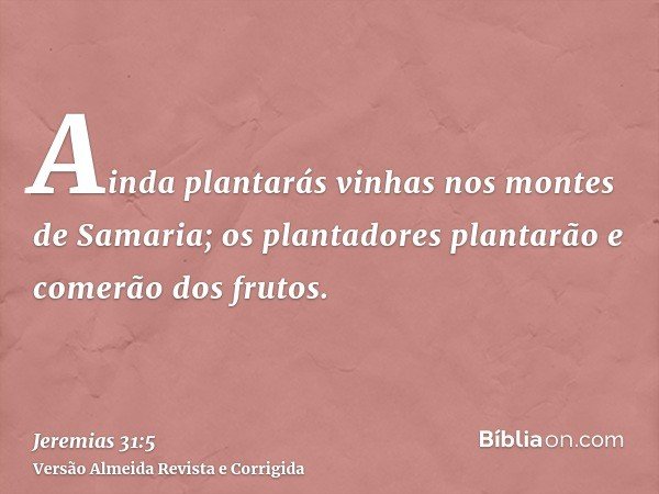 Ainda plantarás vinhas nos montes de Samaria; os plantadores plantarão e comerão dos frutos.