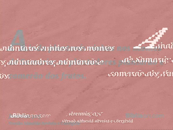 Ainda plantarás vinhas nos montes de Samaria; os plantadores plantarão e comerão dos frutos.