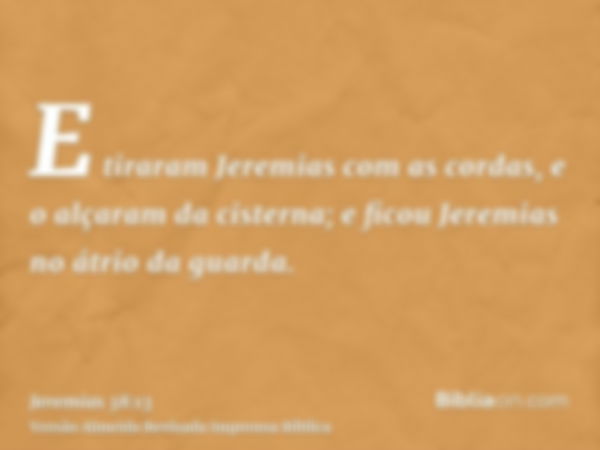 E tiraram Jeremias com as cordas, e o alçaram da cisterna; e ficou Jeremias no átrio da guarda.