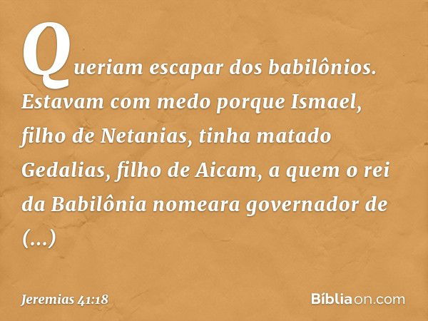 Queriam escapar dos babilônios. Estavam com medo porque Ismael, filho de Netanias, tinha matado Gedalias, filho de Aicam, a quem o rei da Babilônia nomeara gove