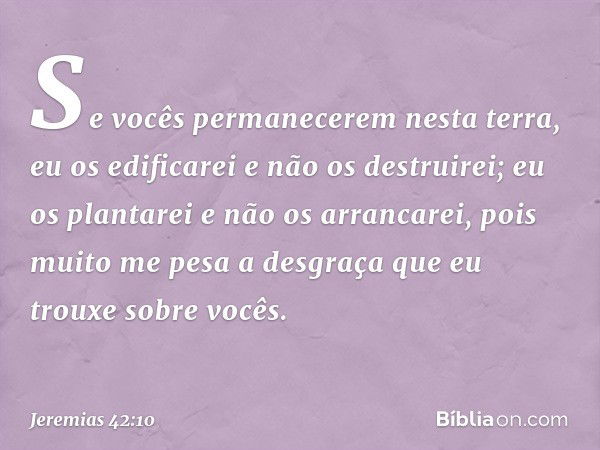 'Se vocês permanecerem nesta terra, eu os edificarei e não os destruirei; eu os plantarei e não os arrancarei, pois muito me pesa a desgraça que eu trouxe sobre