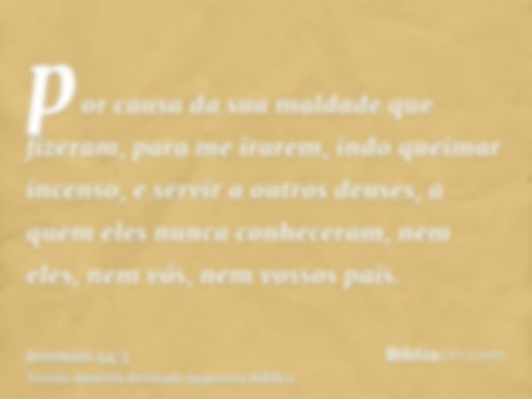 por causa da sua maldade que fizeram, para me irarem, indo queimar incenso, e servir a outros deuses, a quem eles nunca conheceram, nem eles, nem vós, nem vosso