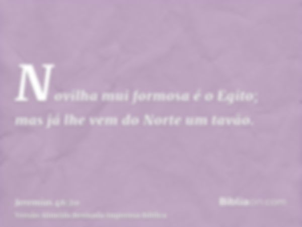 Novilha mui formosa é o Egito; mas já lhe vem do Norte um tavão.