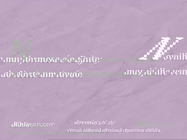 Novilha mui formosa é o Egito; mas já lhe vem do Norte um tavão.
