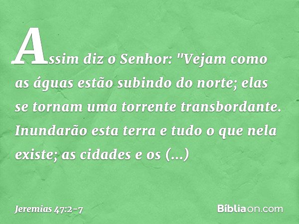 Assim diz o Senhor:
"Vejam como as águas estão
subindo do norte;
elas se tornam
uma torrente transbordante.
Inundarão esta terra
e tudo o que nela existe;
as ci