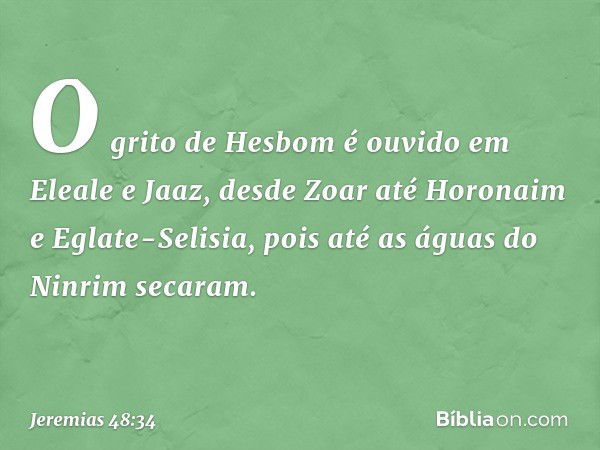 "O grito de Hesbom
é ouvido em Eleale e Jaaz,
desde Zoar até Horonaim
e Eglate-Selisia,
pois até as águas do Ninrim secaram. -- Jeremias 48:34