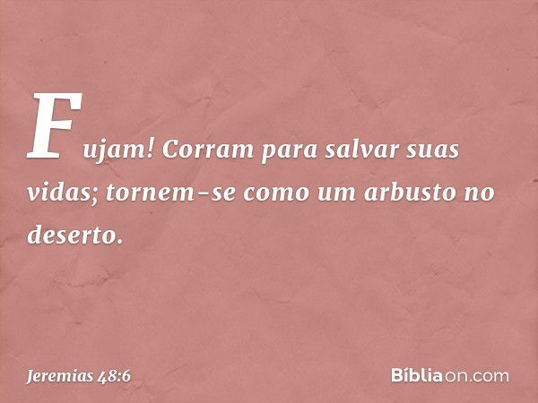 Fujam! Corram para salvar suas vidas;
tornem-se como um arbusto no deserto. -- Jeremias 48:6